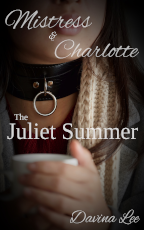 Book Cover: The Juliet Summer
